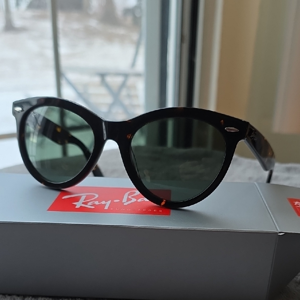 Ray-Ban WAYFARER Sunglasses